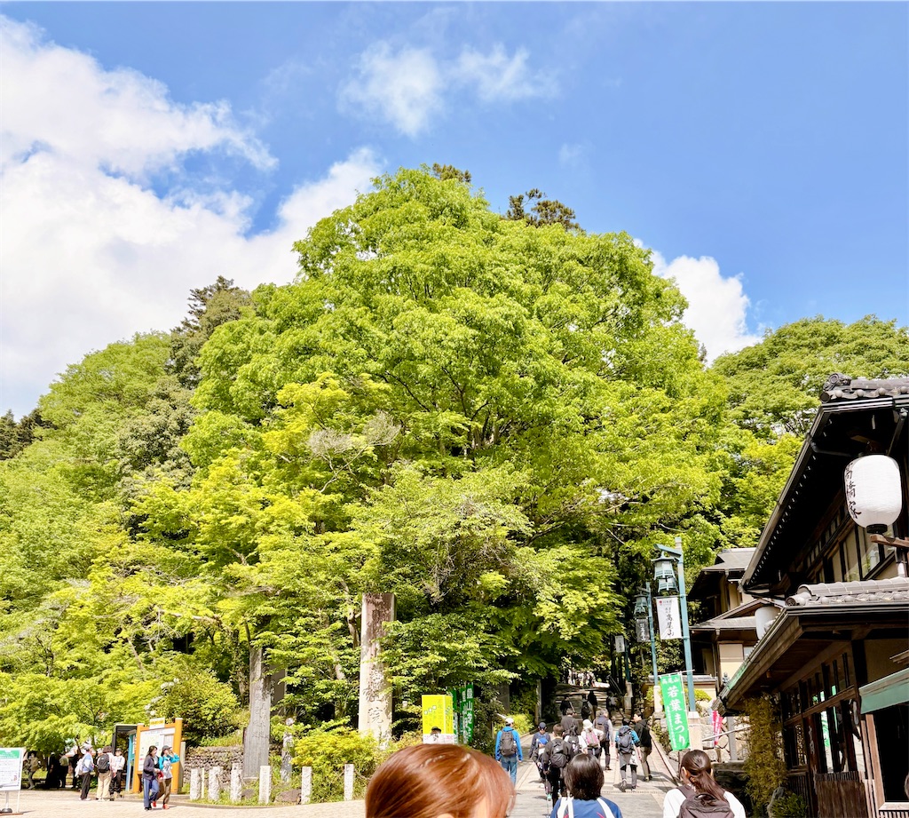f:id:qsmet:20260426212802j:image