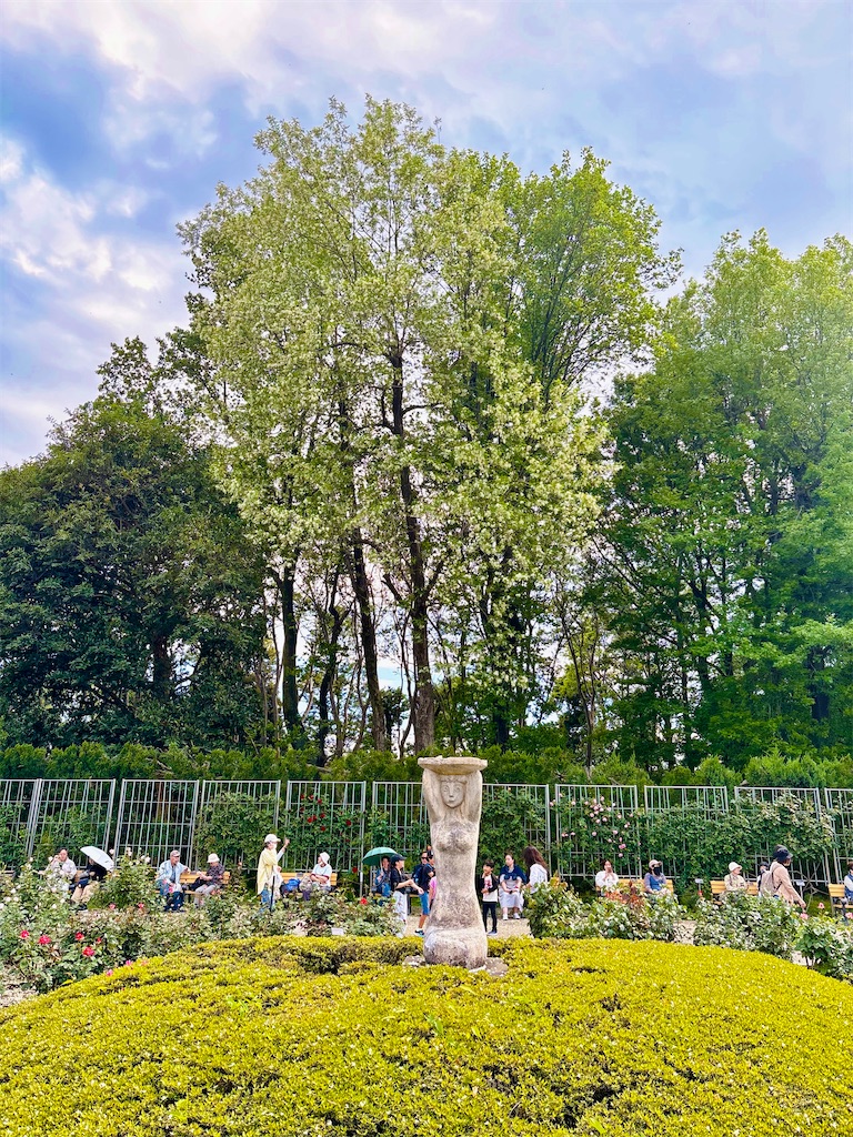 f:id:qsmet:20260503234206j:image