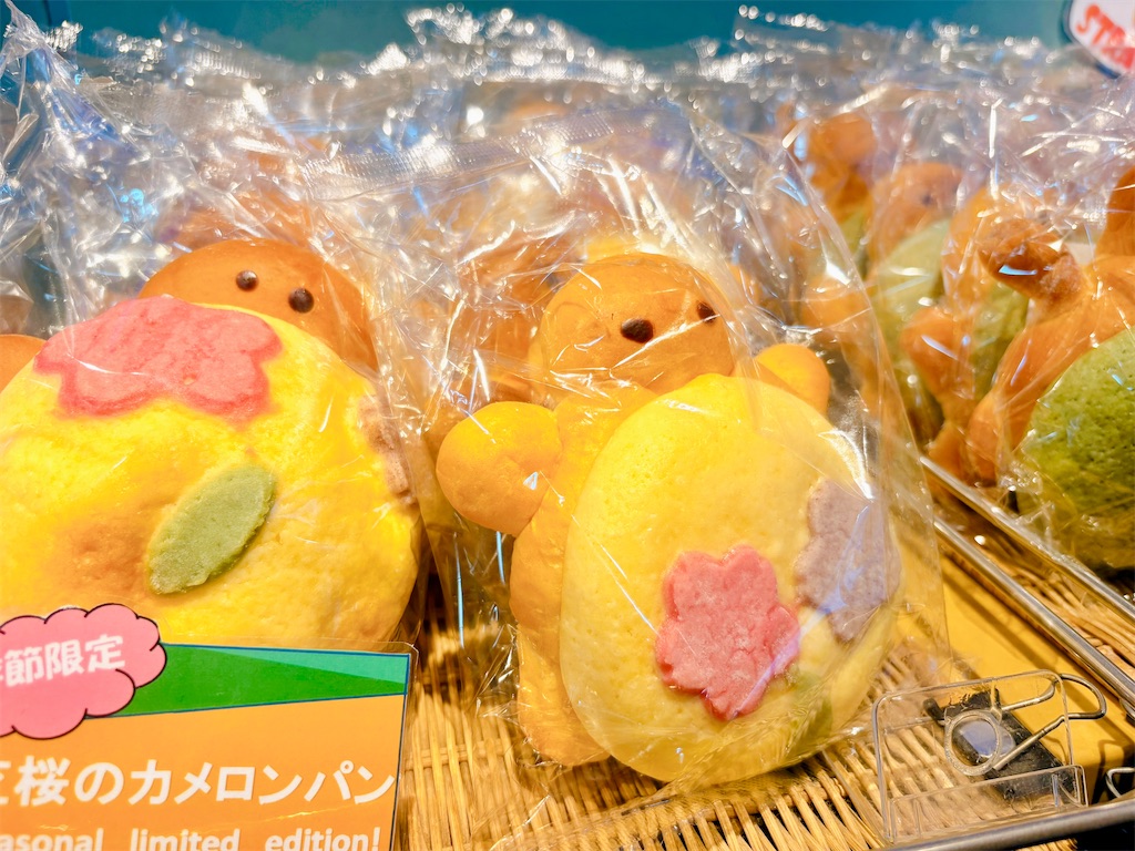 f:id:qsmet:20260524214341j:image