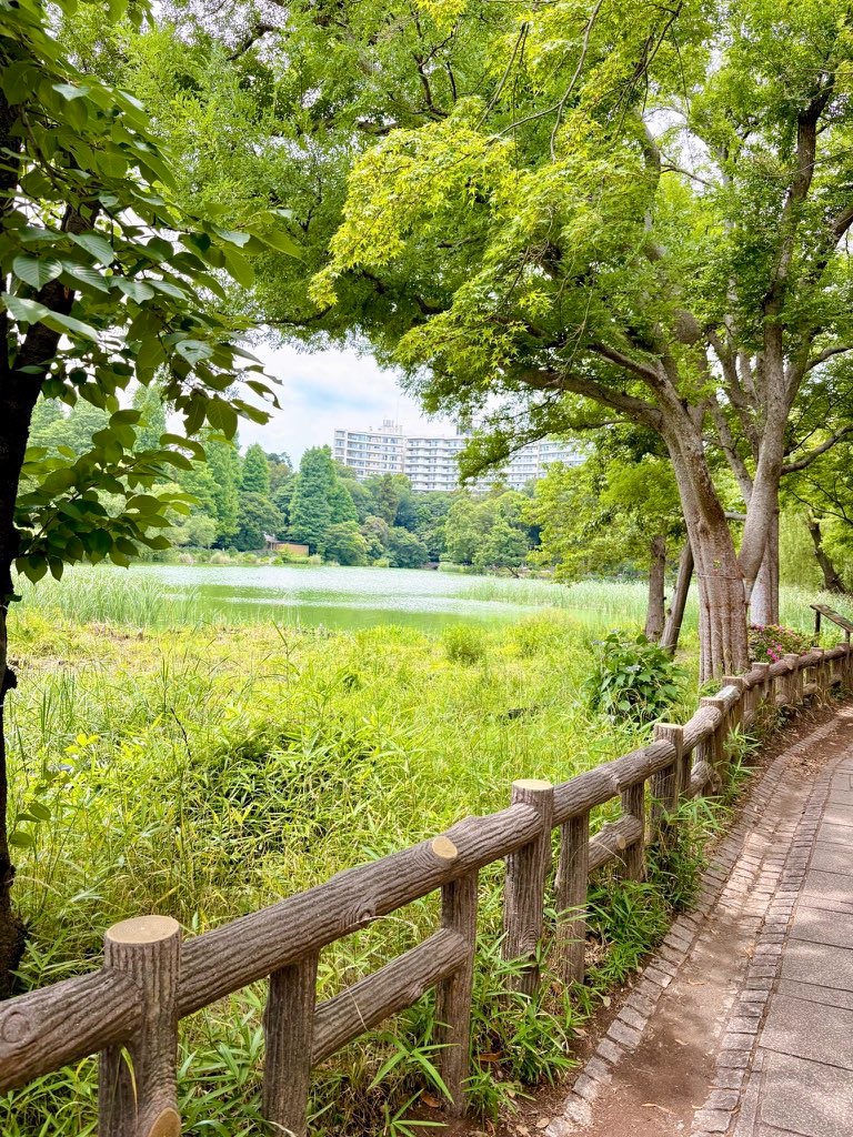f:id:qsmet:20260614222853j:image
