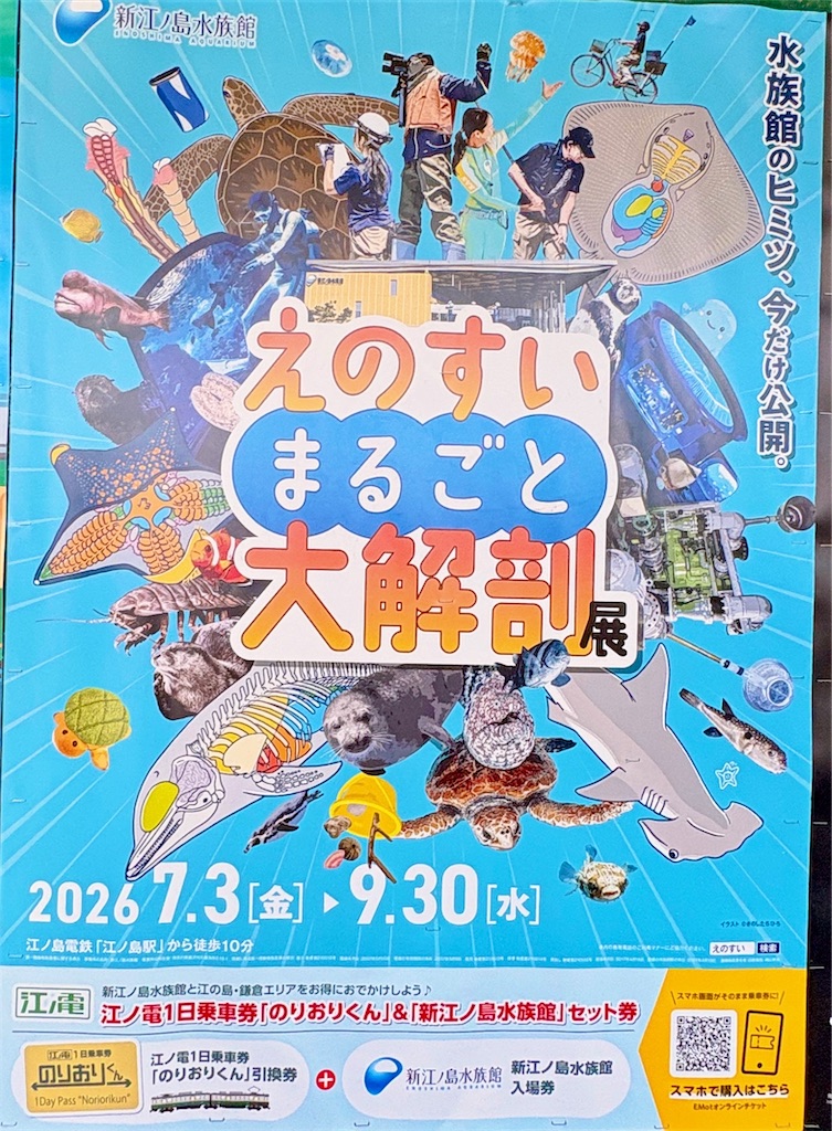 f:id:qsmet:20260719191116j:image