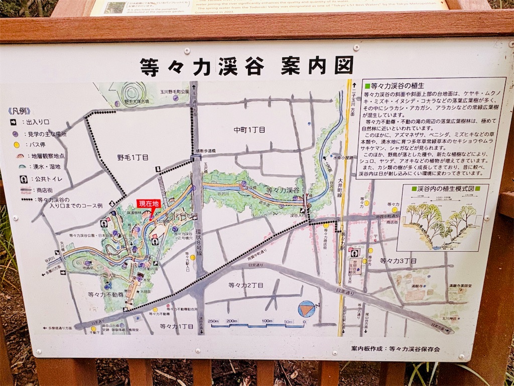 f:id:qsmet:20260801222911j:image