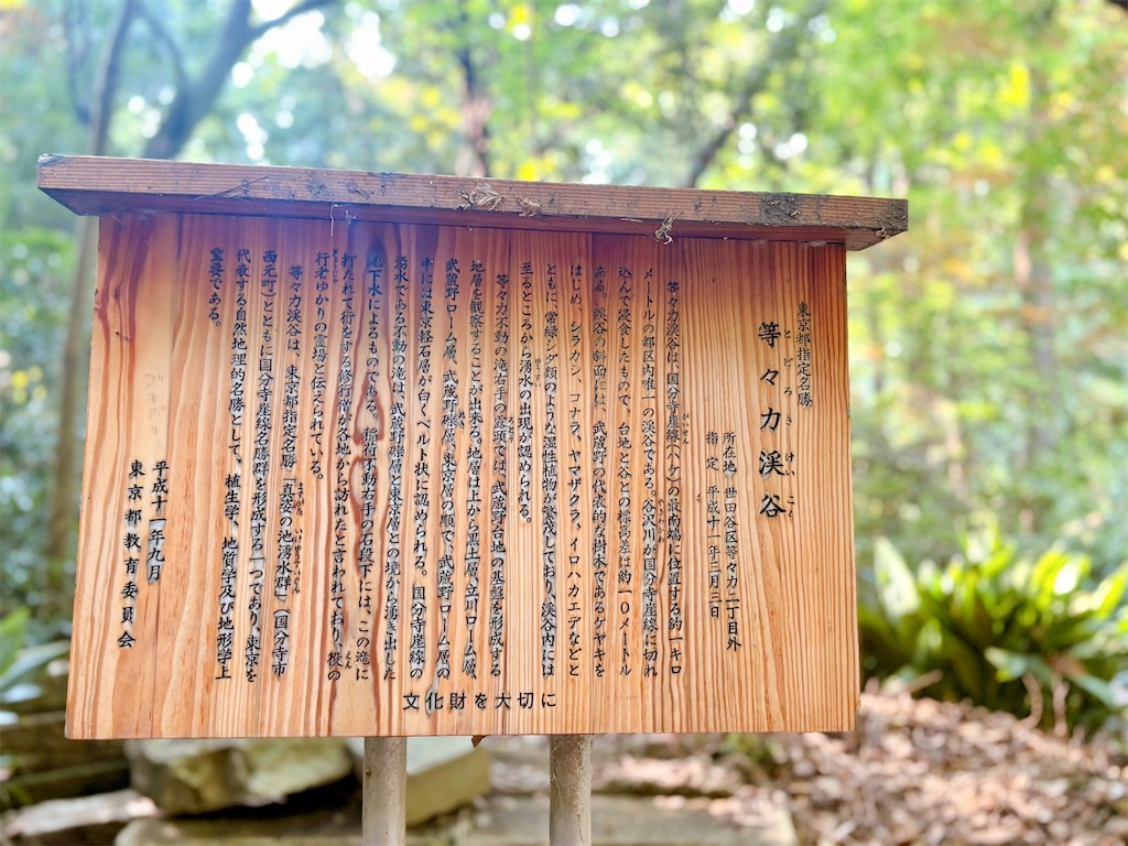 f:id:qsmet:20260801222935j:image