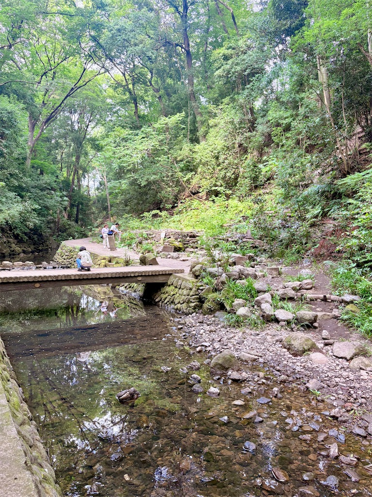 f:id:qsmet:20260801222952j:image