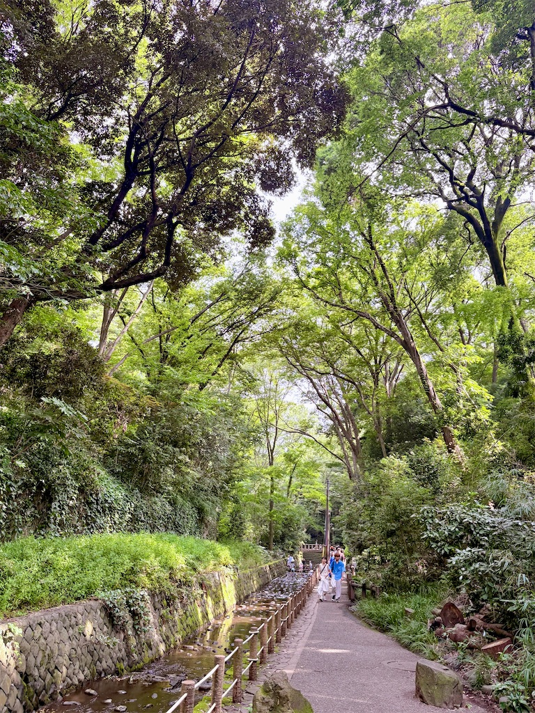 f:id:qsmet:20260801223004j:image