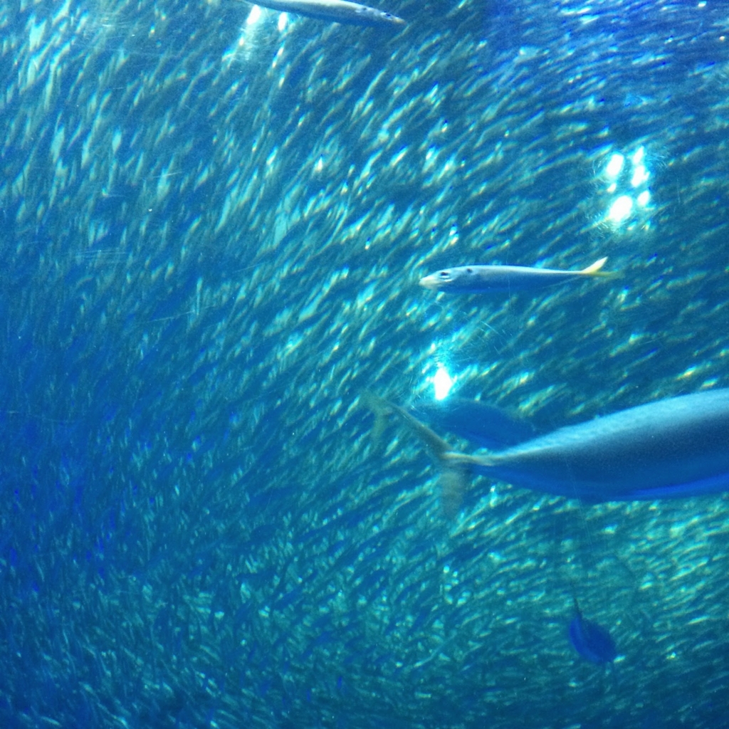 f:id:qtamaki:20140425112941j:plain