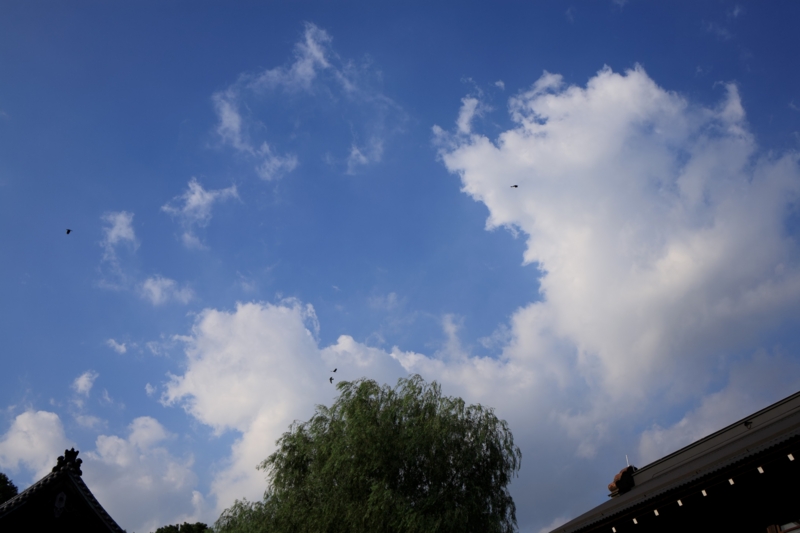 f:id:qtamaki:20160806170642j:plain