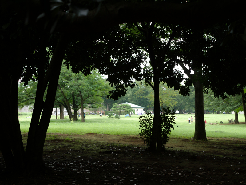 f:id:qtamaki:20160903061613j:plain