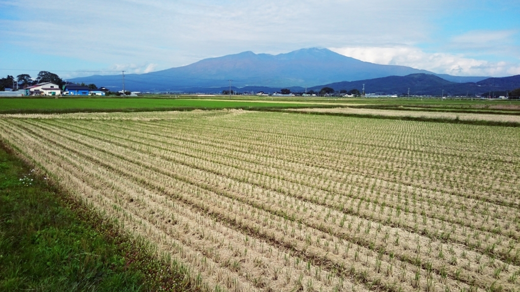 f:id:qtamaki:20161018132119j:plain f:id:qtamaki:20161018132119j:plain