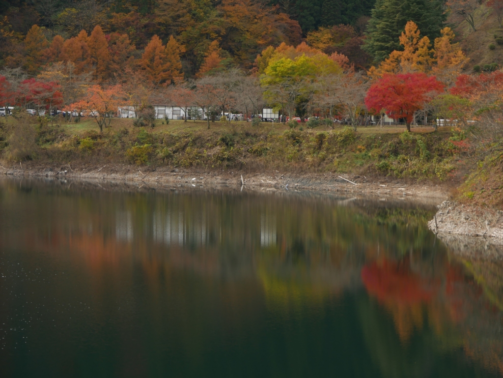 f:id:qtamaki:20161120115633j:plain