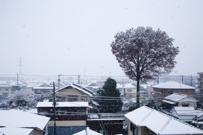 f:id:qtamaki:20161124134634j:plain f:id:qtamaki:20161124134634j:plain