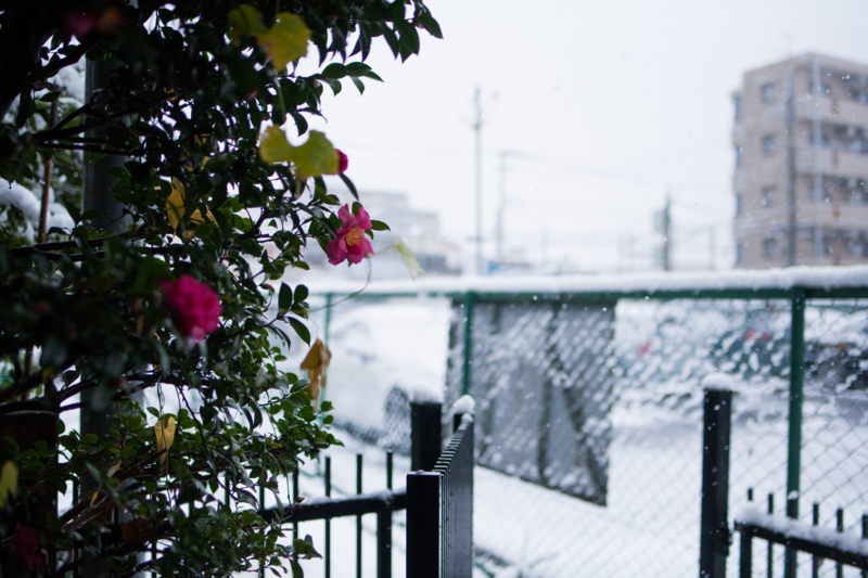 f:id:qtamaki:20161124134641j:plain f:id:qtamaki:20161124134641j:plain