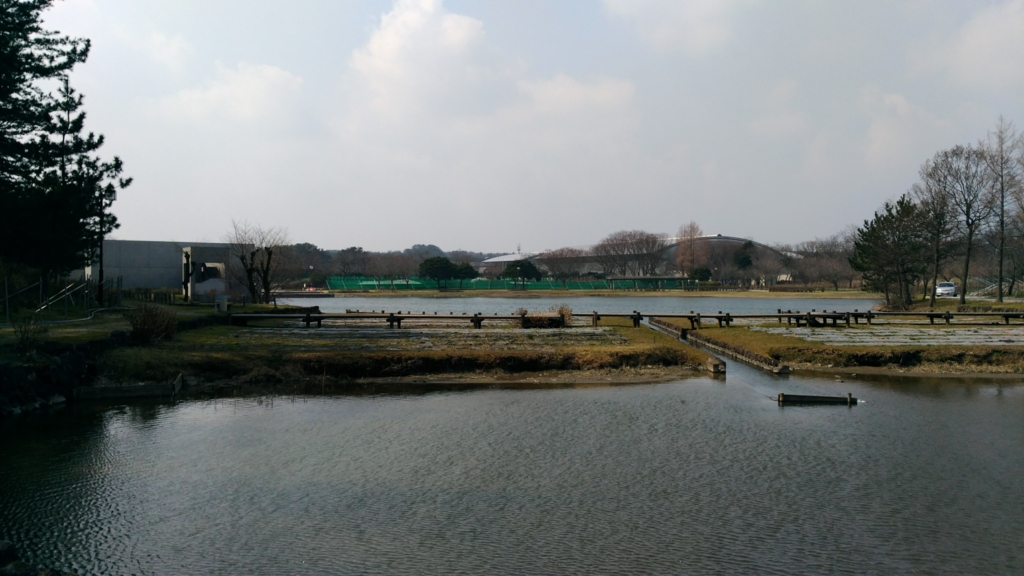 f:id:qtamaki:20170320130015j:plain