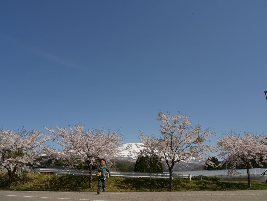 f:id:qtamaki:20170503094125j:plain