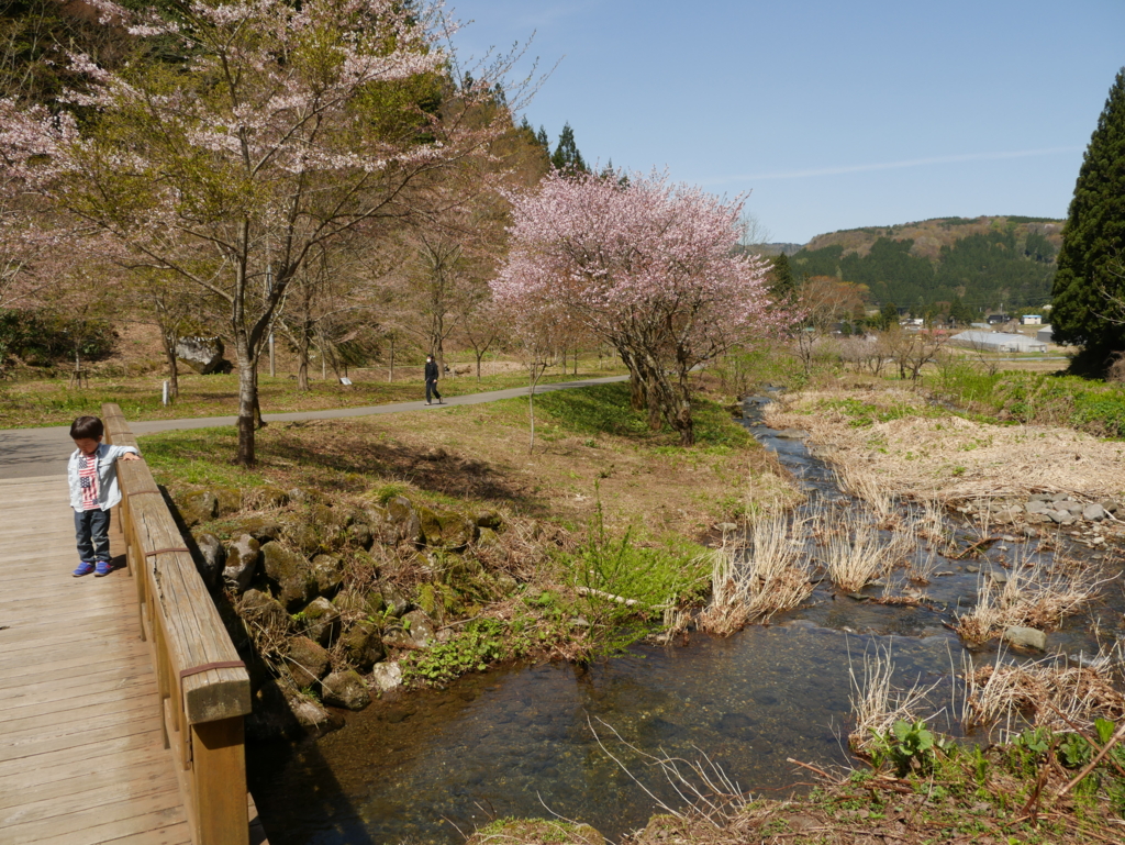 f:id:qtamaki:20170503095238j:plain