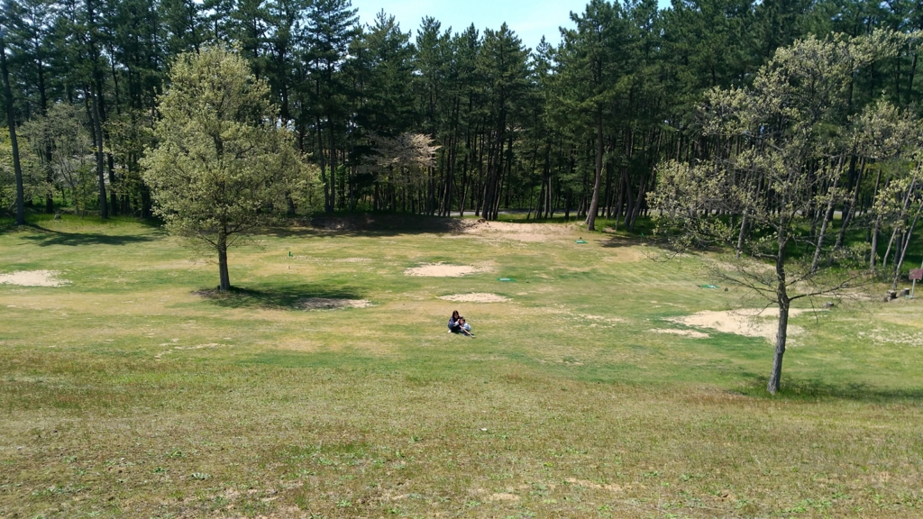 f:id:qtamaki:20170503121100j:plain