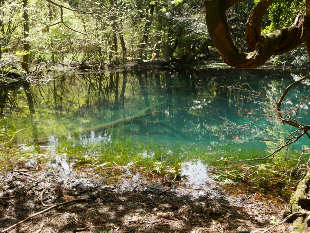 f:id:qtamaki:20170503135819j:plain