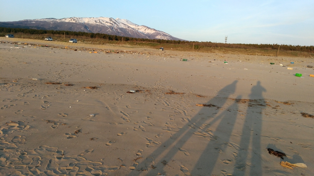 f:id:qtamaki:20170503180901j:plain