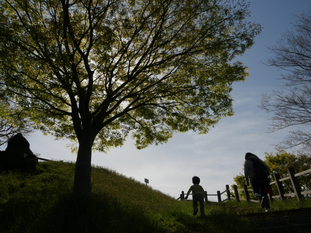 f:id:qtamaki:20170504084546j:plain