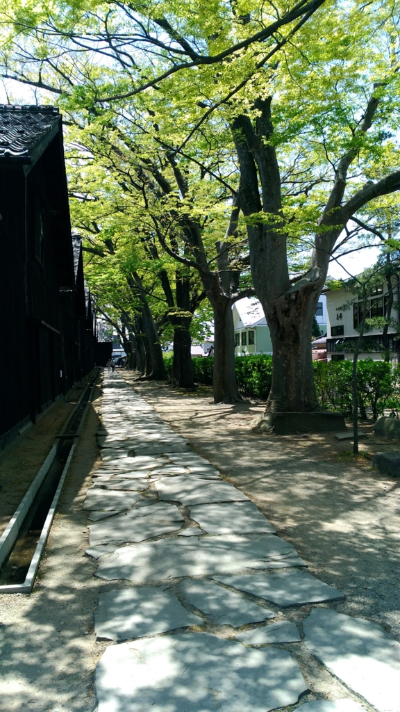 f:id:qtamaki:20170505105038j:plain