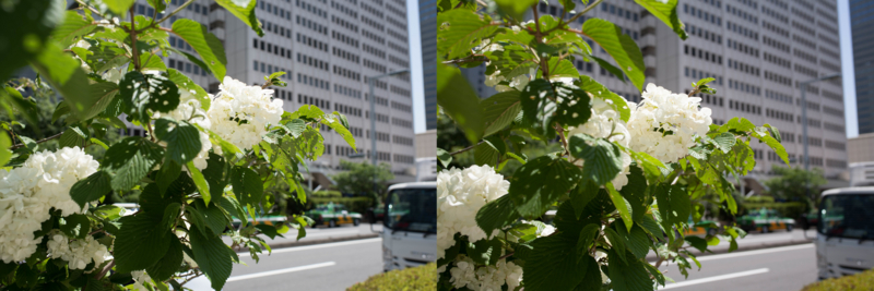 f:id:qtamaki:20170509060309j:plain