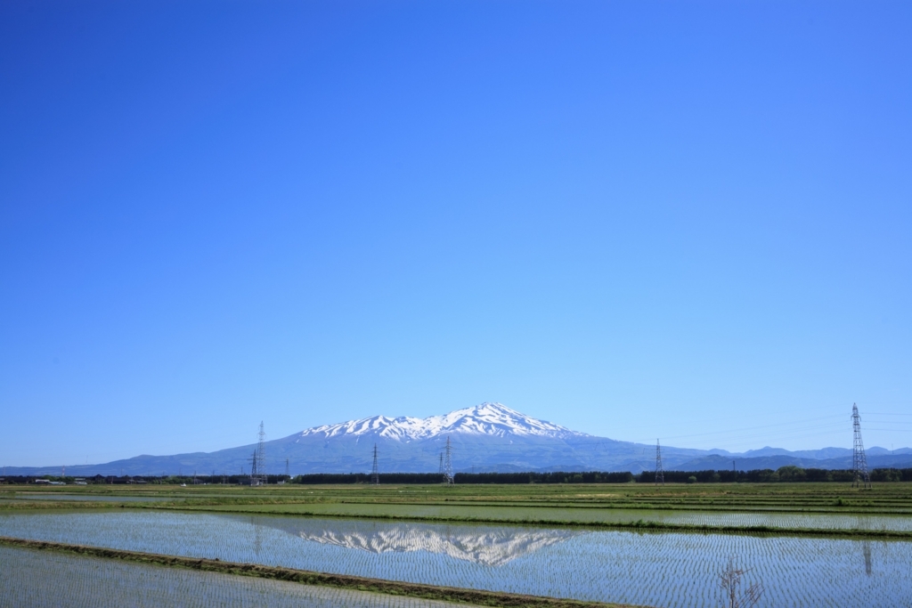 f:id:qtamaki:20170602090119j:plain