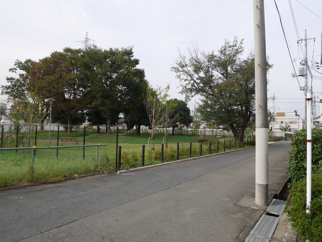 f:id:qtamaki:20181024165250j:plain f:id:qtamaki:20181024165250j:plain
