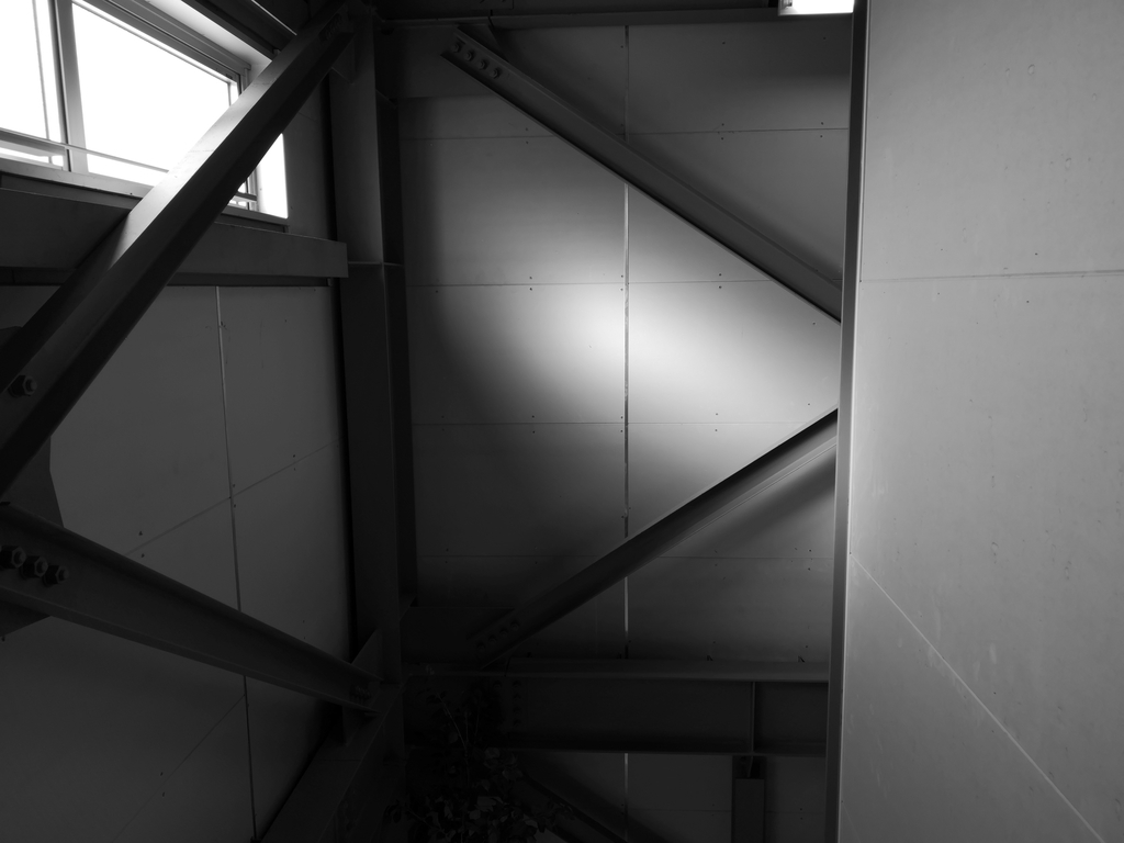 f:id:qtamaki:20190127101824j:plain
