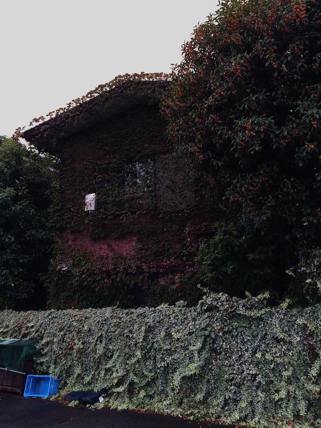 f:id:qti:20141013234330j:image