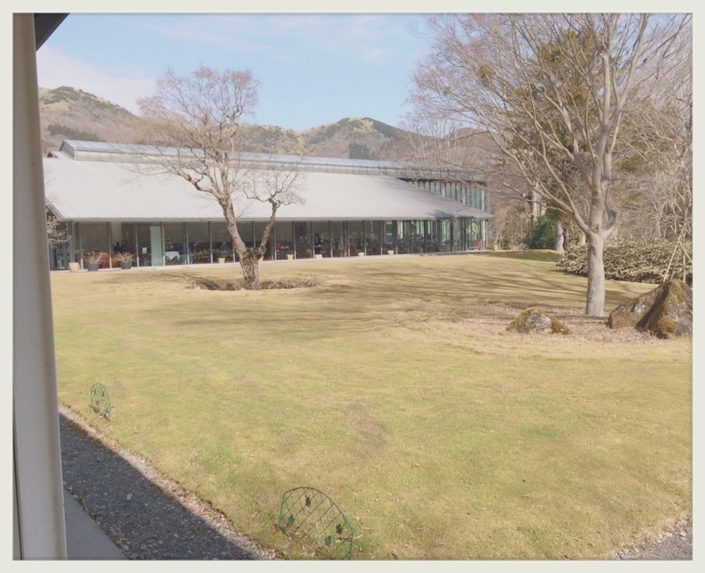 f:id:qtomotomoa:20190302002702j:plain