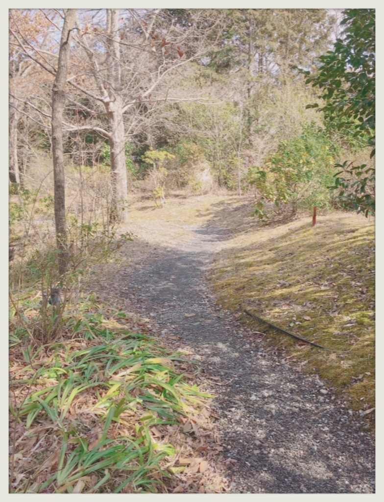 f:id:qtomotomoa:20190304235313j:plain