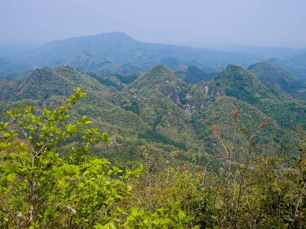 山頂からの景色