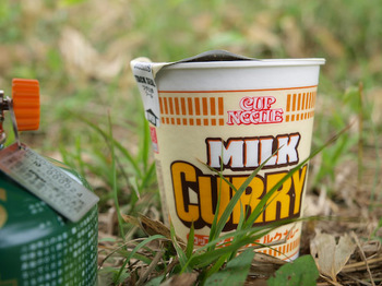 MILK CURRY