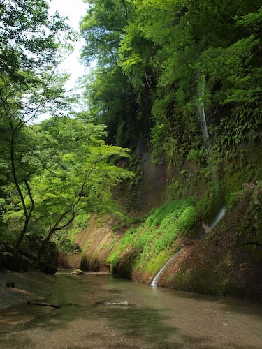 由布川峡谷