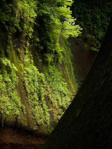 由布川峡谷