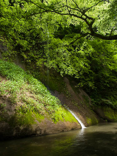 由布川峡谷