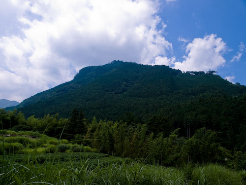 求菩提山の山容