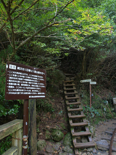 大株歩道の入口