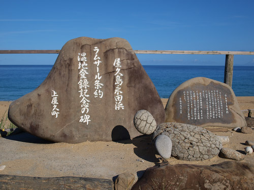 いなか浜のウミガメの石像