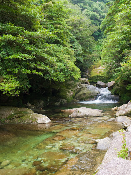 白谷雲水峡の入口近く