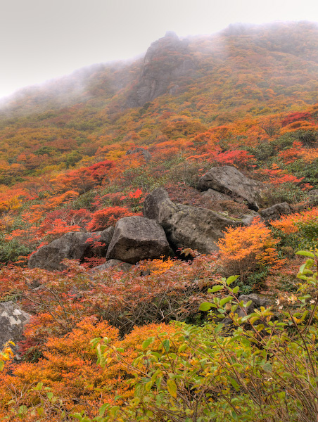 鍋底から本峰を見上げる