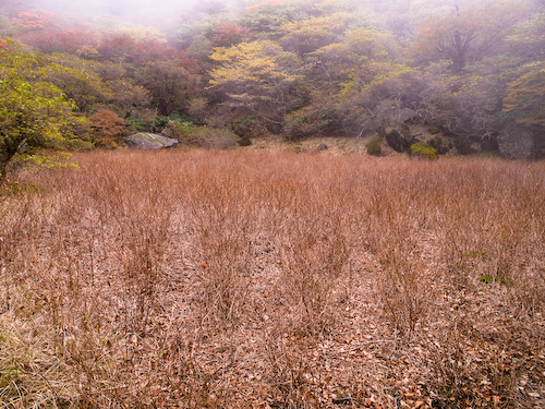 小鍋の底