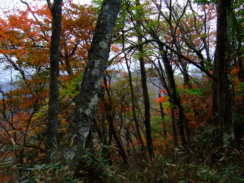 祖母山〜宮ノ原の紅葉