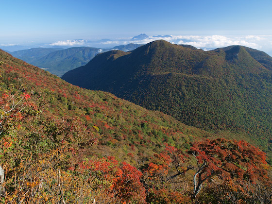 黒岳 from 大船東尾根