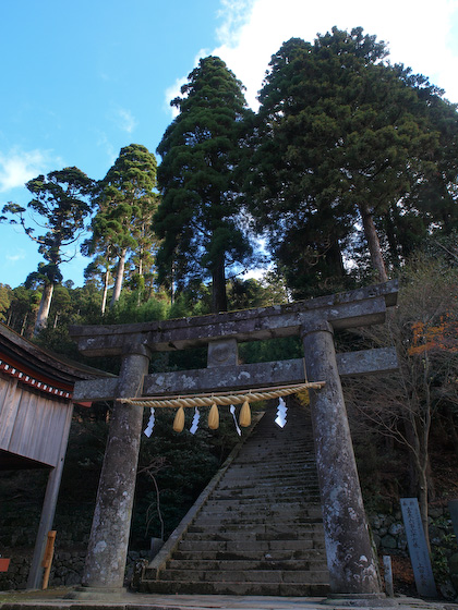 奉幣殿の鳥居