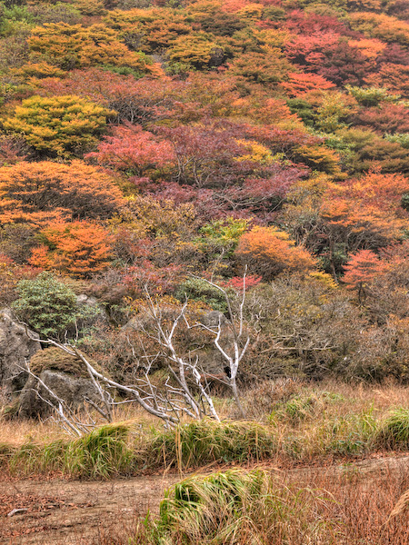 大鍋の底（北峰側）