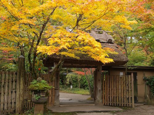 亀の井別荘