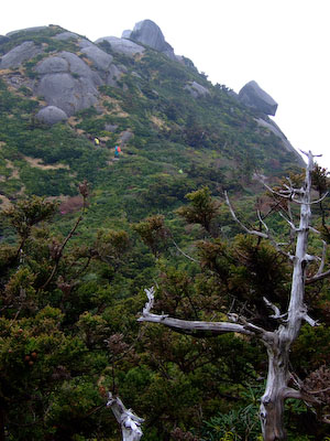 黒味岳の山頂