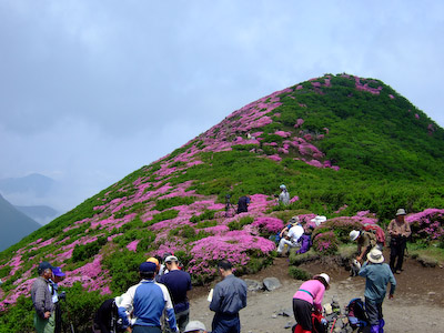 段原にて