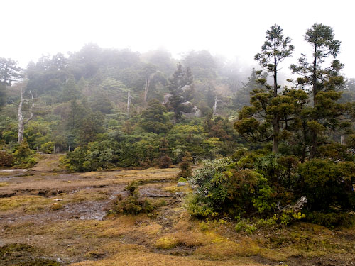 大船山の山頂より